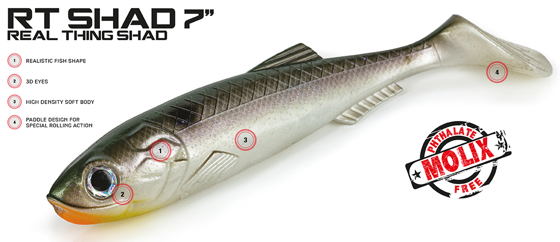 Molix RT Shad 7 inch